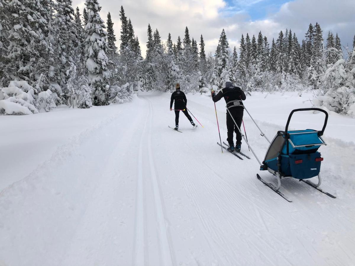Karolinen Stugor&Lägenheter Åre Exterior foto